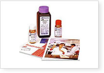 AutoZyme Glucose STAT