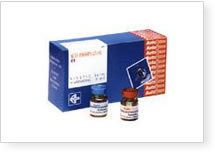 AutoZyme Acid Phosphatase