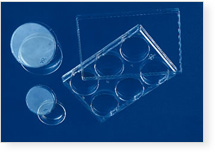 TISSUE CULTURE DISHES